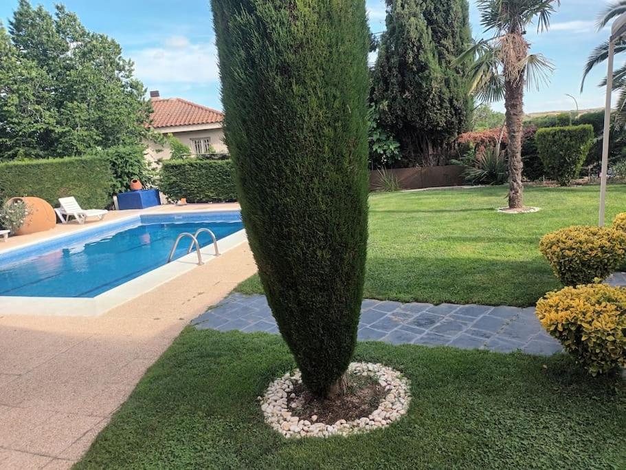 Madrid City Modern Apartment In Villa, Free Wifi アロヨモリーノス エクステリア 写真