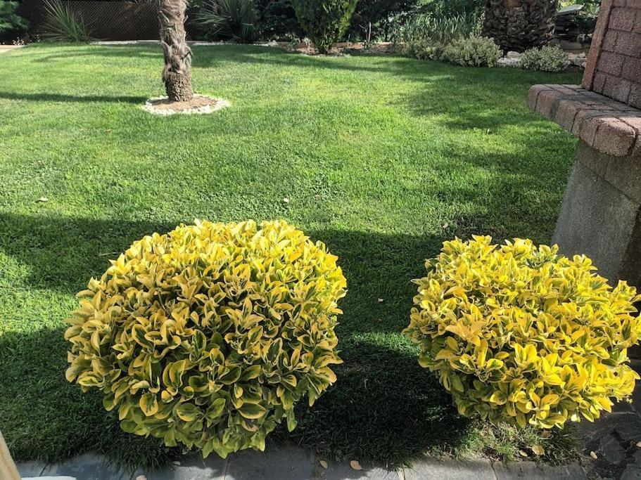Madrid City Modern Apartment In Villa, Free Wifi アロヨモリーノス エクステリア 写真